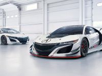 Acura NSX GT3 Race Car (2016) - picture 2 of 4