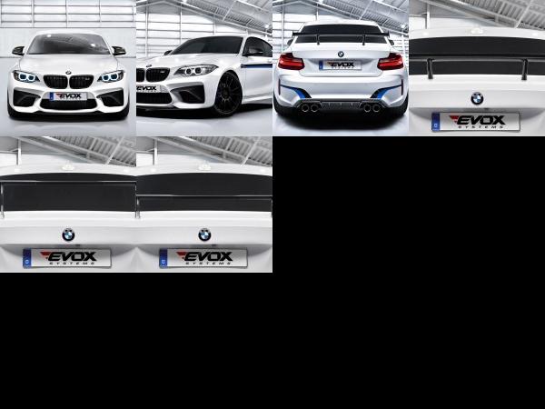 Alpha-N Performance BMW M2 F87 (2016) - picture 1 of 6