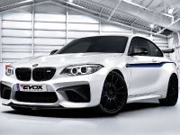 Alpha-N Performance BMW M2 F87 (2016) - picture 2 of 6
