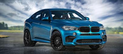 Alpha-N Performance BMW X Models (2016) - picture 4 of 5