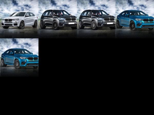 Alpha-N Performance BMW X Models (2016) - picture 1 of 5