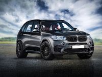 Alpha-N Performance BMW X Models (2016) - picture 2 of 5