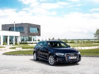 Audi A3 Sportback e-tron (2016) - picture 1 of 3