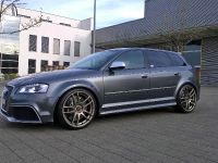 Barracuda Racing Audi RS3 8P (2016) - picture 1 of 3