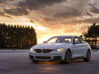 BMW 435i ZHP Coupe (2016) - picture 13 of 38