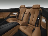BMW 6 Series Convertible (2016)