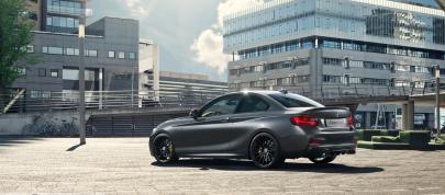 BMW M235i Track Edition (2016) - picture 4 of 7