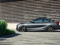 2016 BMW M235i Track Edition, 3 of 7