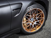 BMW M4 GTS (2016) - picture 27 of 37