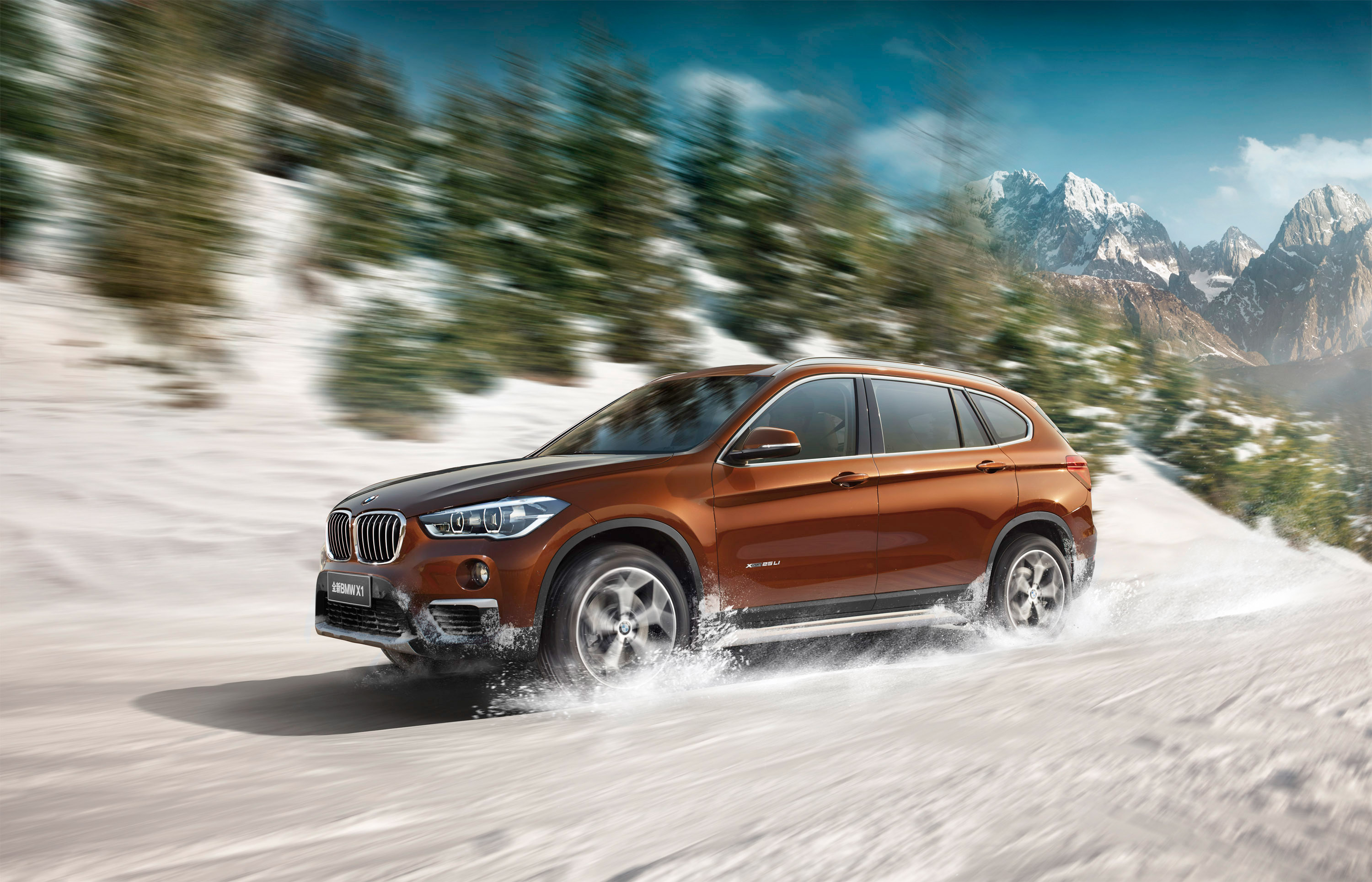 BMW X1 Long Wheelbase