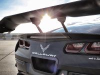 Callaway Corvette C7 GT3-R (2016) - picture 8 of 11