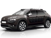 Citroen C4 Cactus Rip Curl Special Edition (2016) - picture 2 of 13