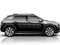 Citroen C4 Cactus Rip Curl Special Edition (2016) - picture 3 of 13