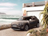 Citroen C4 Cactus Rip Curl Special Edition (2016) - picture 6 of 13