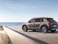Citroen C4 Cactus Rip Curl Special Edition (2016)