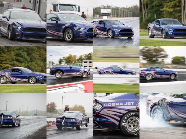 Cobra Jet Ford Mustang (2016) - picture 1 of 16