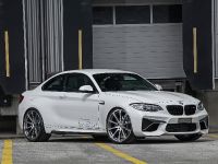 2016 dAHLer BMW M2 Coupe , 5 of 30