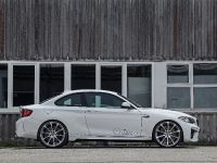 dAHLer BMW M2 Coupe (2016)