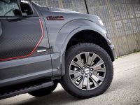 Ford F-150 Lariat Appearance Package (2016) - picture 7 of 9