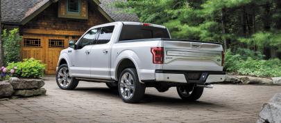Ford F-150 Limited (2016) - picture 7 of 17