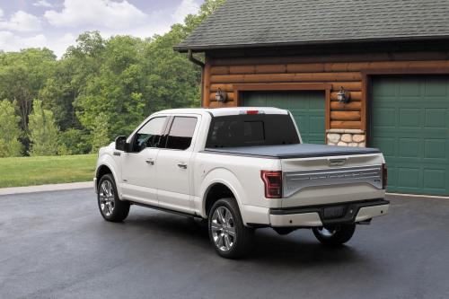 Ford F-150 Limited (2016) - picture 9 of 17