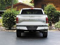 Ford F-150 Limited (2016) - picture 10 of 17