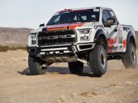 Ford F-150 Raptor (2016) - picture 3 of 16