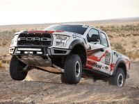 Ford F-150 Raptor (2016) - picture 7 of 16