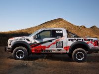 Ford F-150 Raptor (2016) - picture 11 of 16