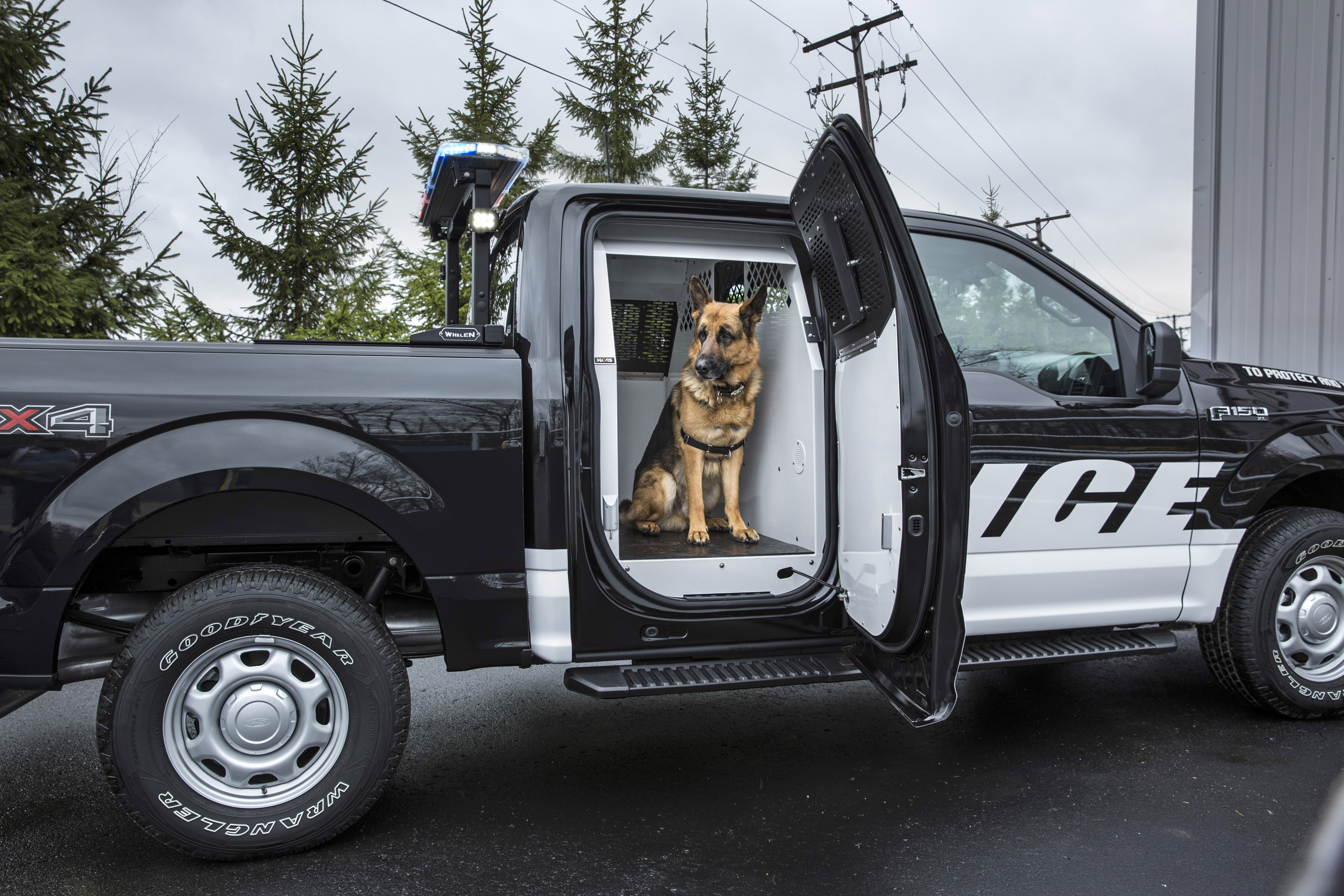 Ford F-150 Special Service Vehicle