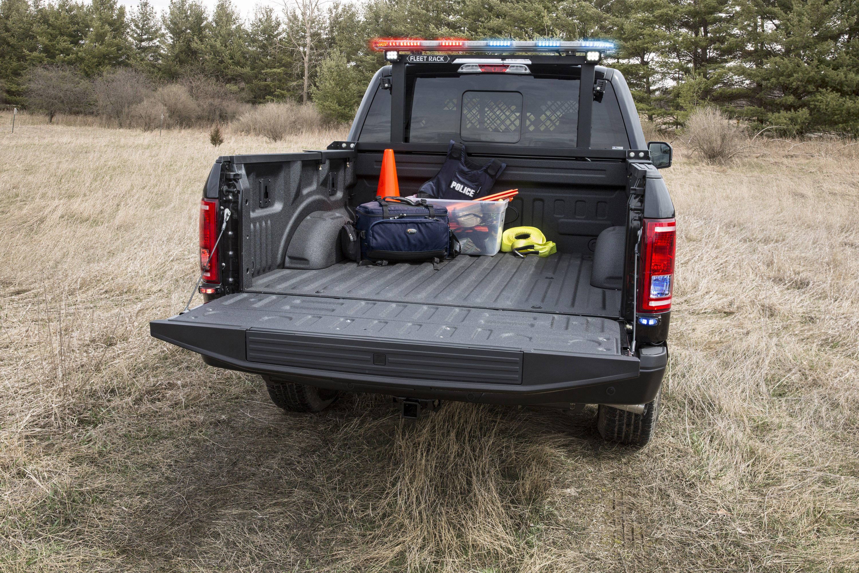 Ford F-150 Special Service Vehicle