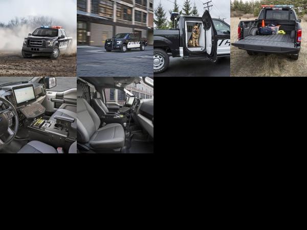 Ford F-150 Special Service Vehicle (2016) - picture 1 of 6