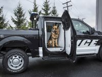 Ford F-150 Special Service Vehicle (2016) - picture 3 of 6