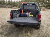 Ford F-150 Special Service Vehicle (2016) - picture 4 of 6