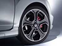 Ford Fiesta ST200 (2016)