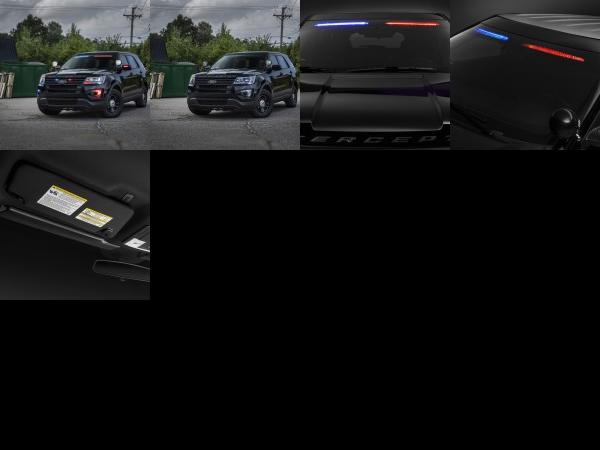 Ford Police Interceptor Utility Vehicle (2016) - picture 1 of 5