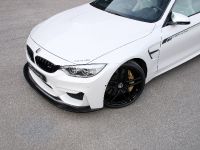 G-Power BMW M3 F80 and M4 F82 (2016) - picture 8 of 12
