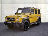 G-POWER Mercedes-AMG G63 (2016) - picture 1 of 13