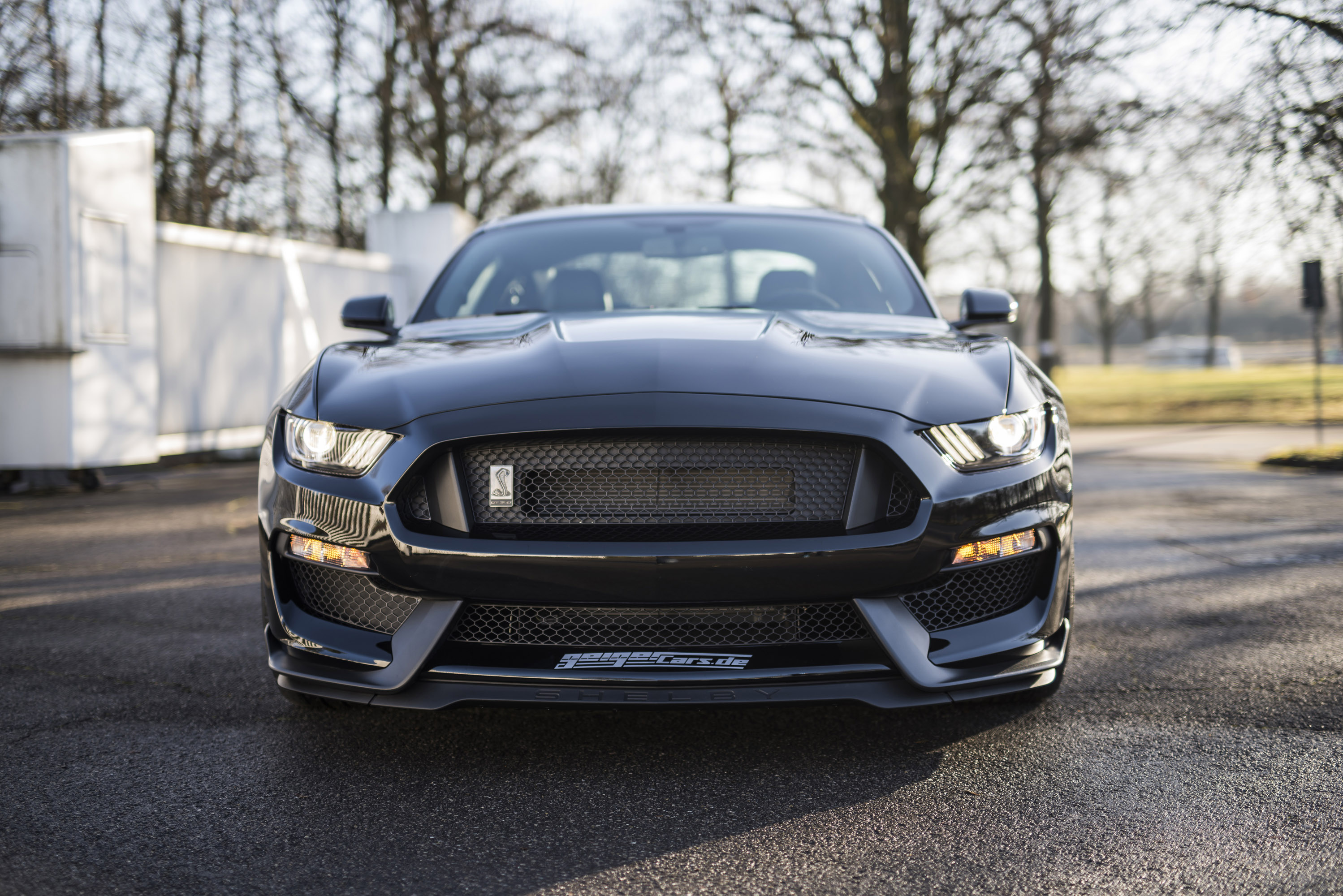 GeigerCars.de Ford Mustang Shelby GT350