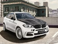 HAMANN BMW X6 F16 Widebody (2016) - picture 1 of 5