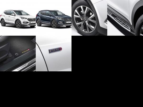 Hyundai Santa Fe Team Wiggins Limited Edition (2016) - picture 1 of 6