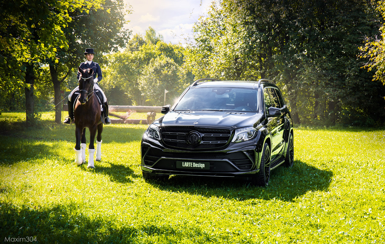 2016 Larte Design Mercedes-Benz GLS