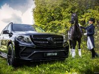 2016 Larte Design Mercedes-Benz GLS (2017) - picture 2 of 10