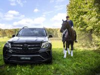 2016 Larte Design Mercedes-Benz GLS (2017) - picture 3 of 10