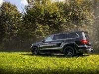 2016 Larte Design Mercedes-Benz GLS (2017) - picture 7 of 10