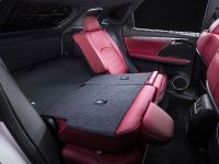 Lexus RX 350 F Sport (2016) - picture 19 of 25