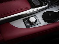 Lexus RX 350 F Sport (2016) - picture 21 of 25