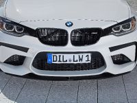 LIGHTWEIGHT BMW M2 (2016) - picture 2 of 21