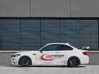 LIGHTWEIGHT BMW M2 (2016) - picture 6 of 21