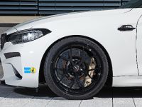 LIGHTWEIGHT BMW M2 (2016) - picture 14 of 21